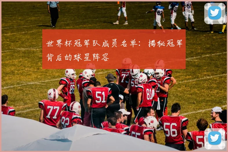 世界杯冠军队成员名单：揭秘冠军背后的球星阵容