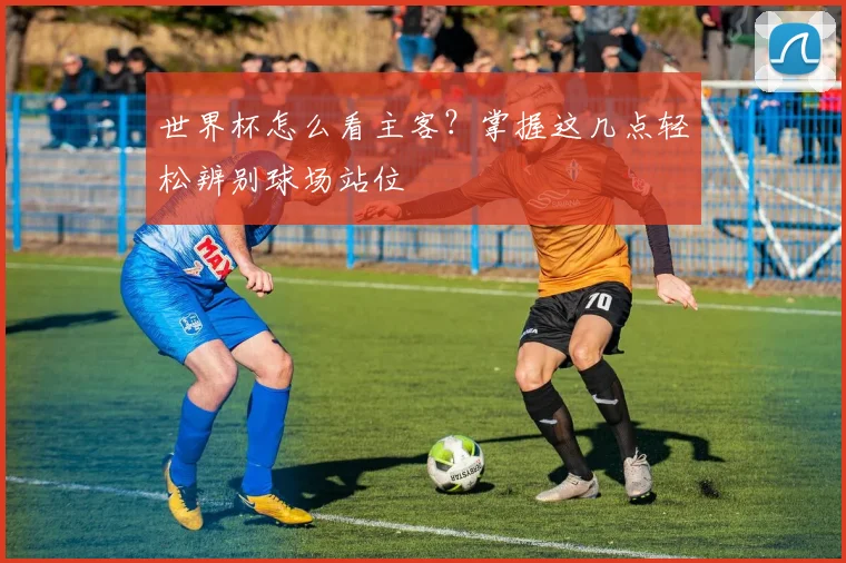 世界杯怎么看主客？掌握这几点轻松辨别球场站位
