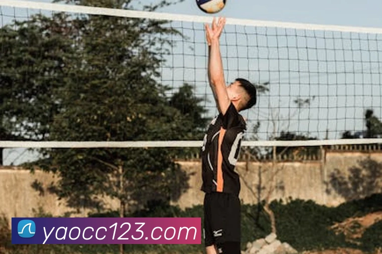 乐竞体育官方官网服务体系